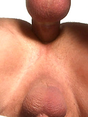 Horny bears Sundance and Brent fucking, Added: 2013-06-10 by Pantheon Bear