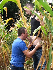 This time I think the corn is ripe - Jimmy Fix, Mac Peal, Added: 2013-10-16 by East Boys